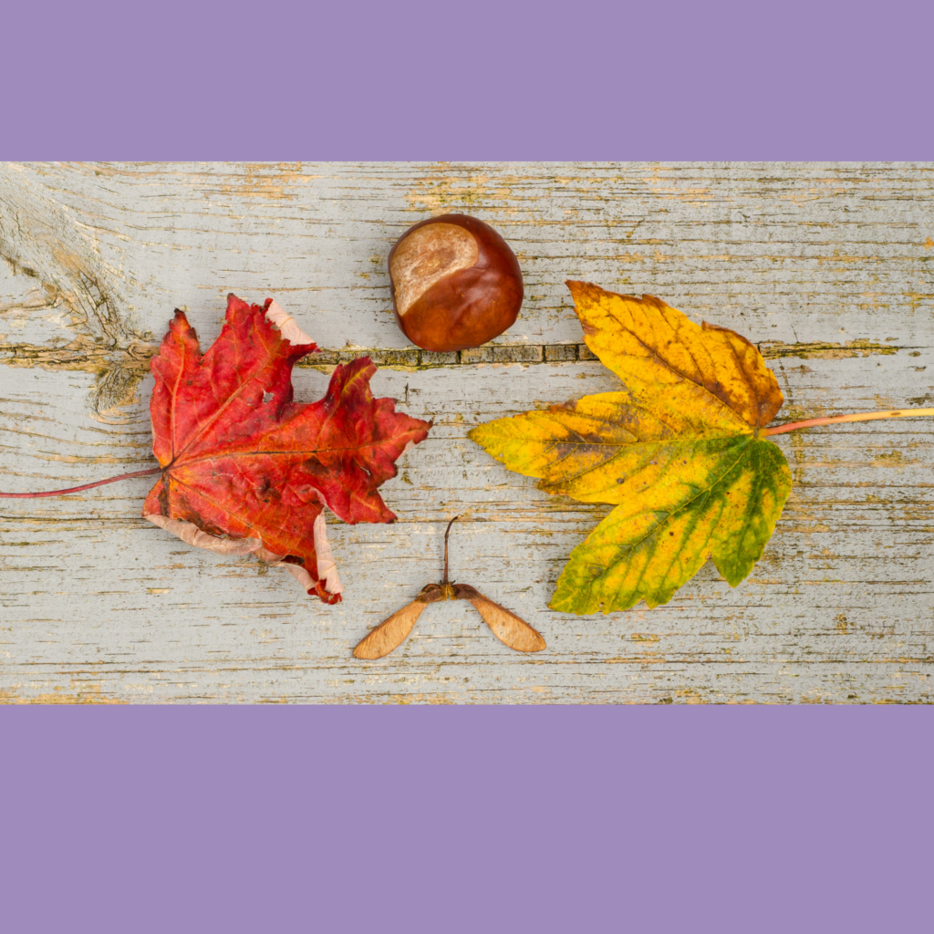 Seasons Changing