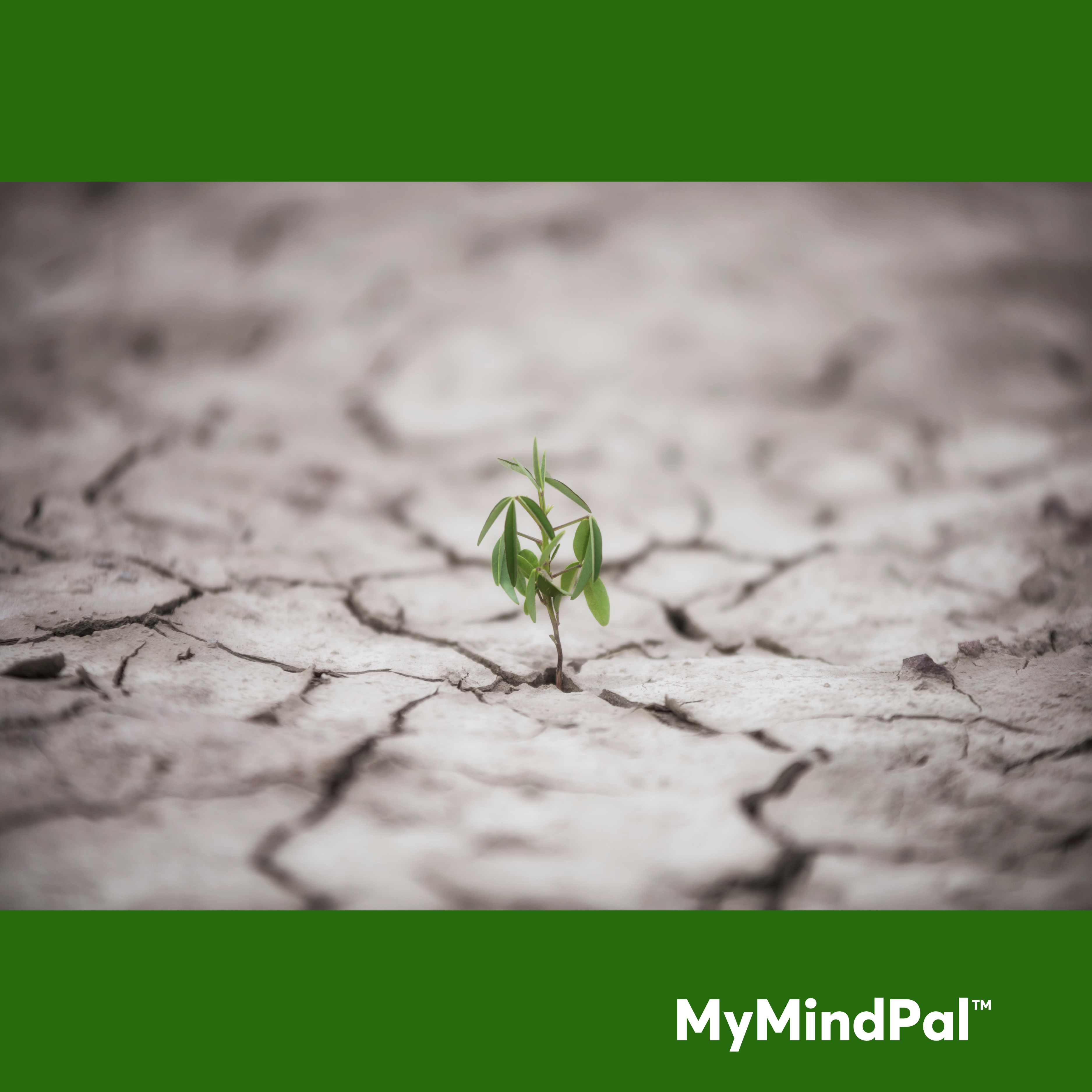 Building Mental Resilience