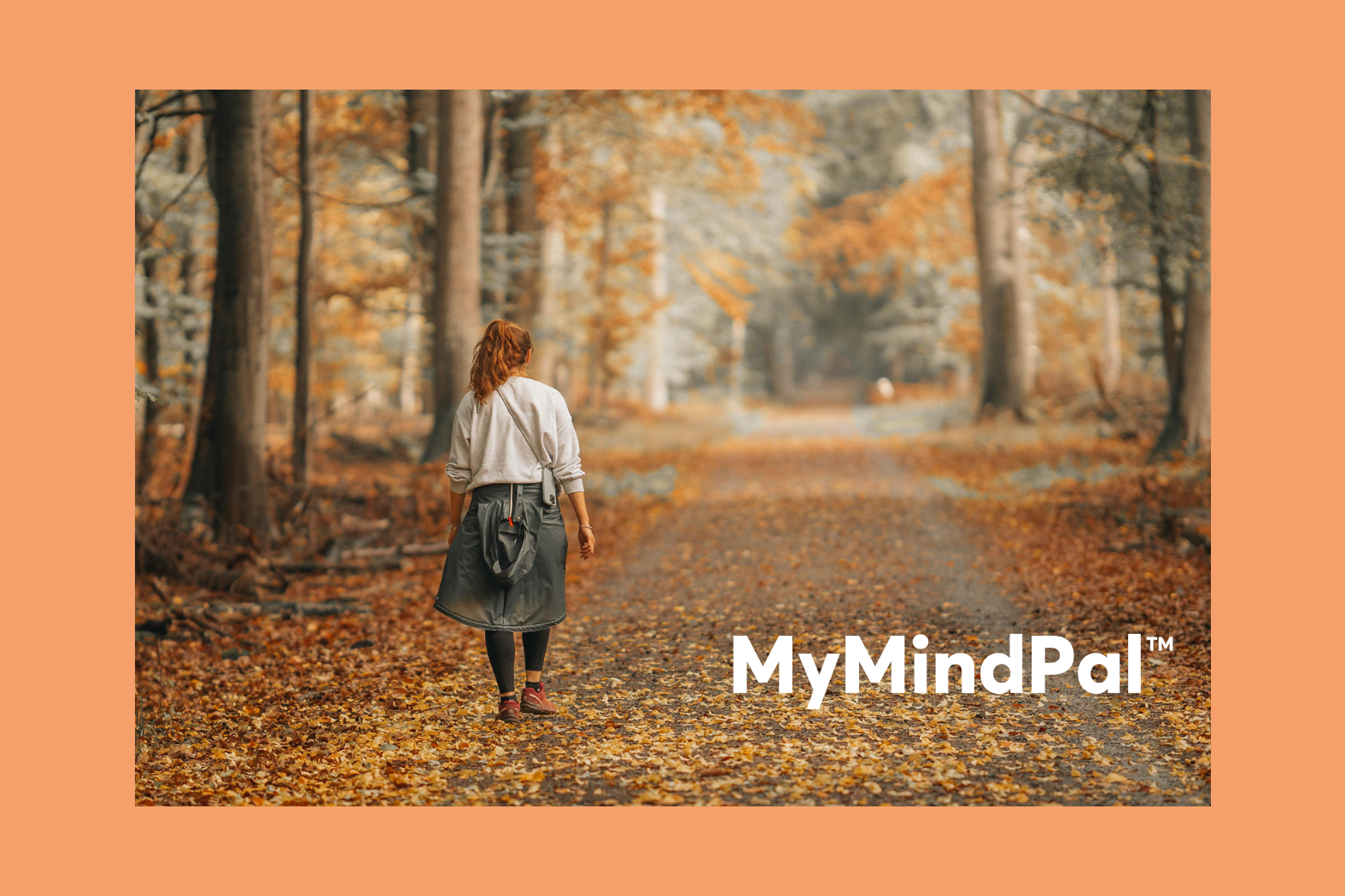 Mindfulness, Meditation & Focus